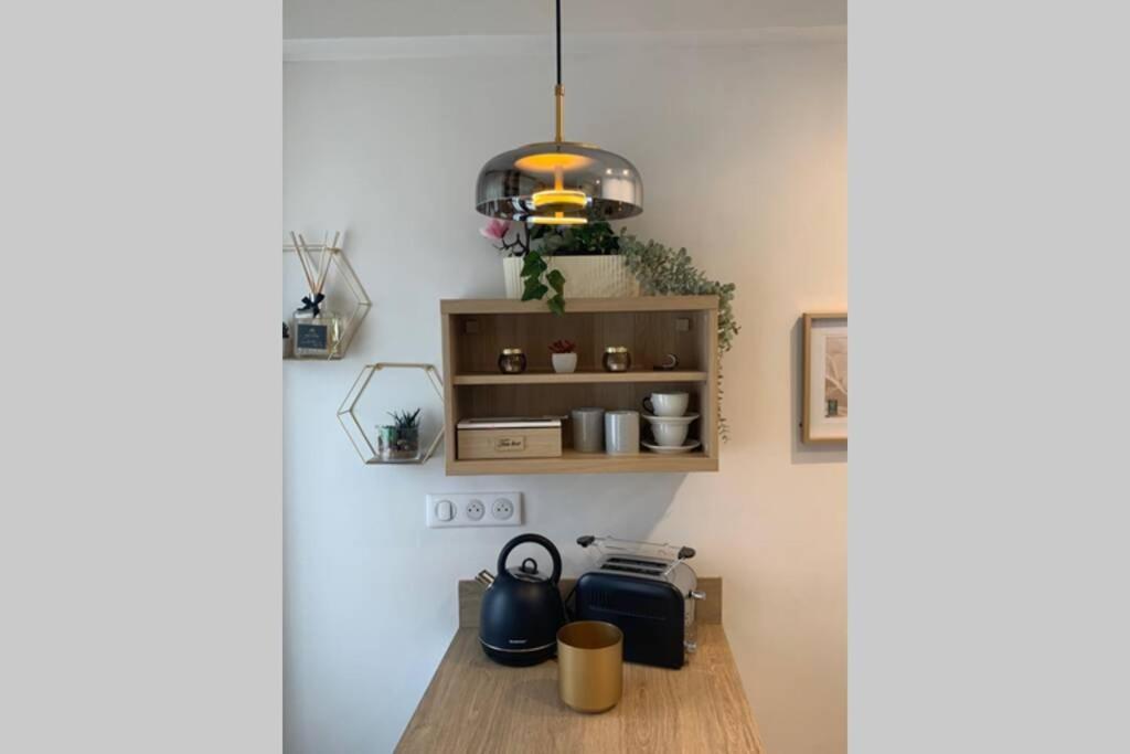 Joli Appartement Haut Standing En Hyper Centre Tuluza Zewnętrze zdjęcie